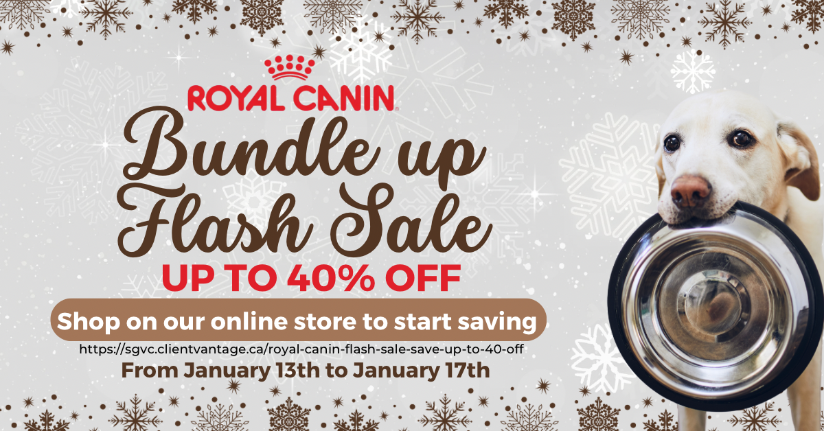 Picture for category Royal Canin FLASH SALE - Save up to 40% off